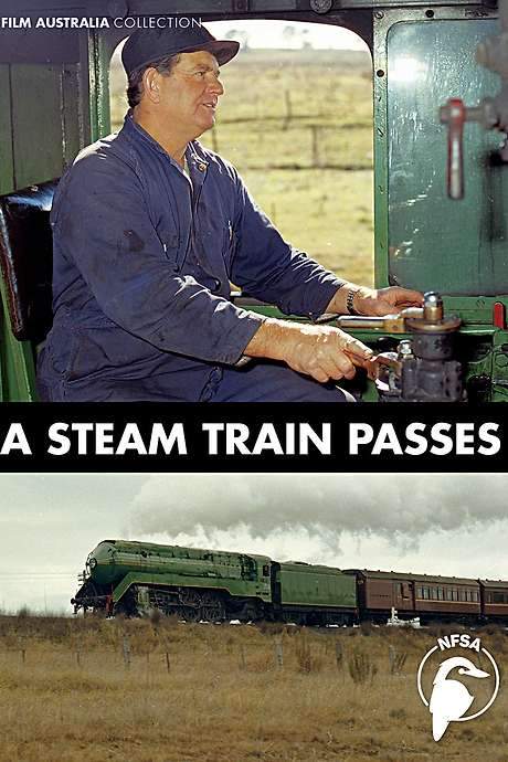A Steam Train Passes